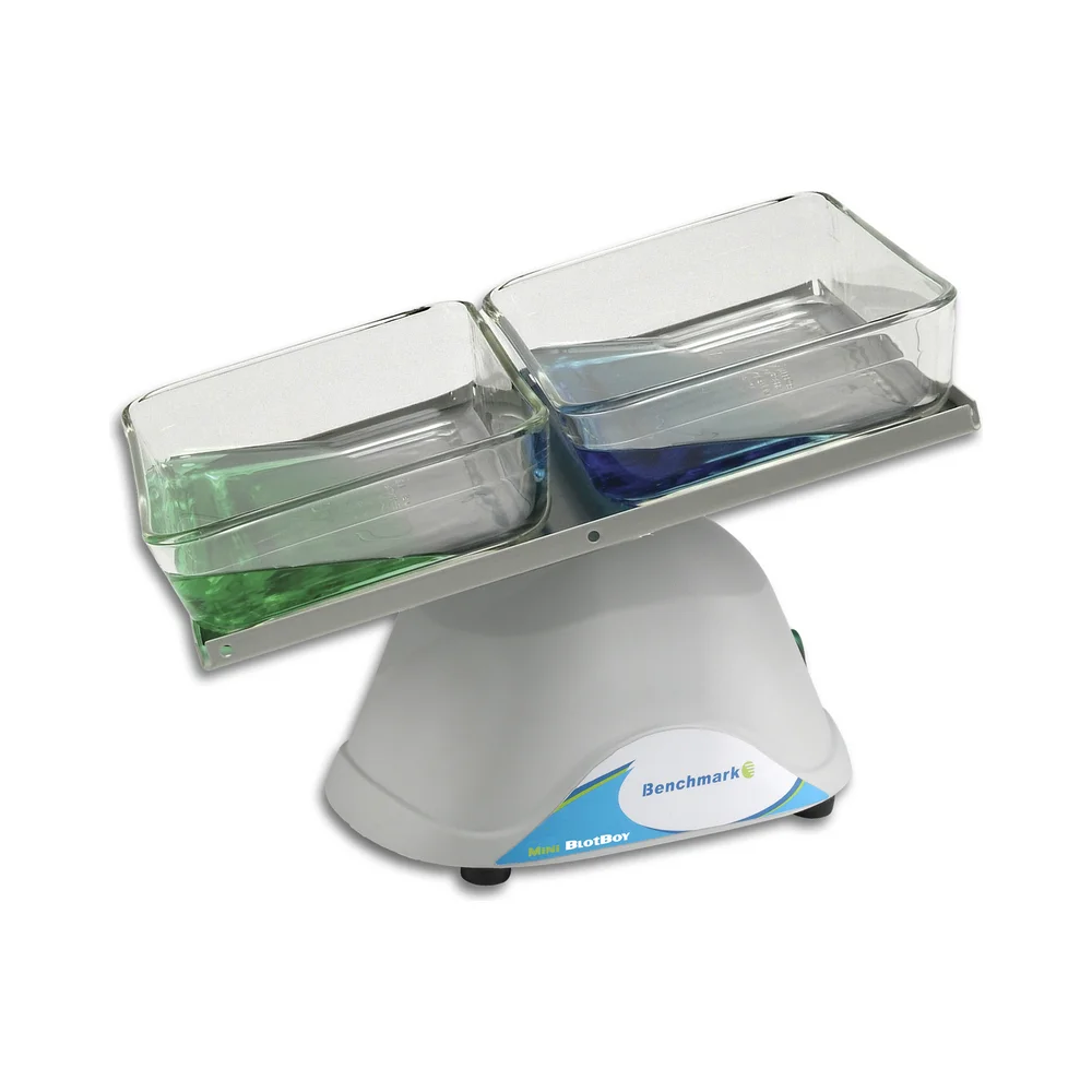 BlotBoy™ Low Speed 3D Rockers - Laboratory Equipment | Legacy Lab Supplies