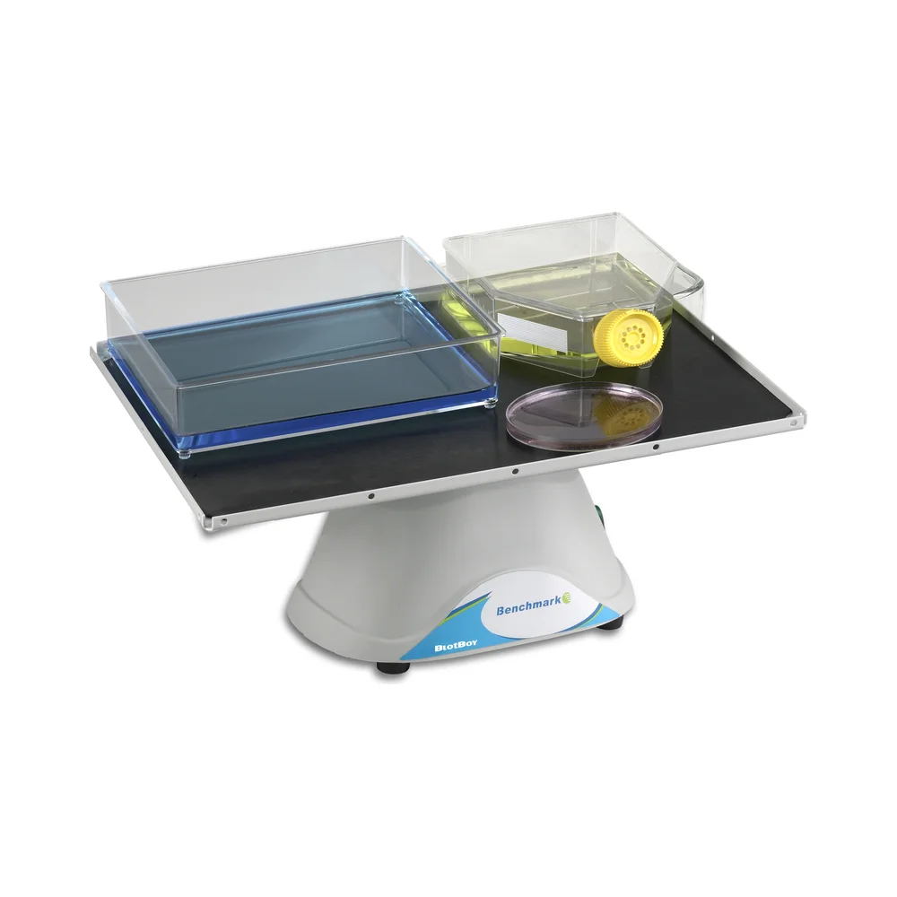 BlotBoy 3D Rocker, Fixed Speed, 12×12" Platform with Flat Mat , 115 V - Laboratory Equipment | Legacy Lab Supplies