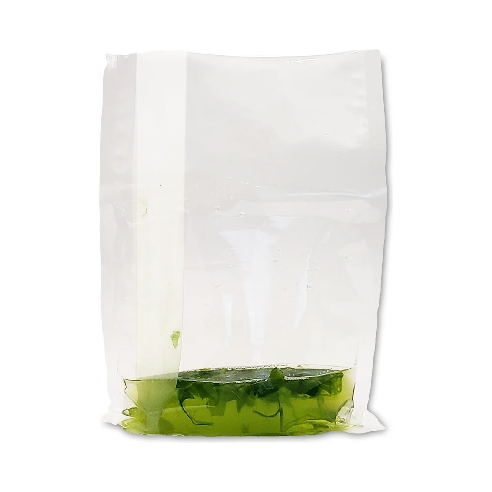 Lateral / Side Filter Blender Bags for BenchMasher 400 (IPD4400-B400F1, 500/pk) - Laboratory Equipment | Legacy Lab Supplies