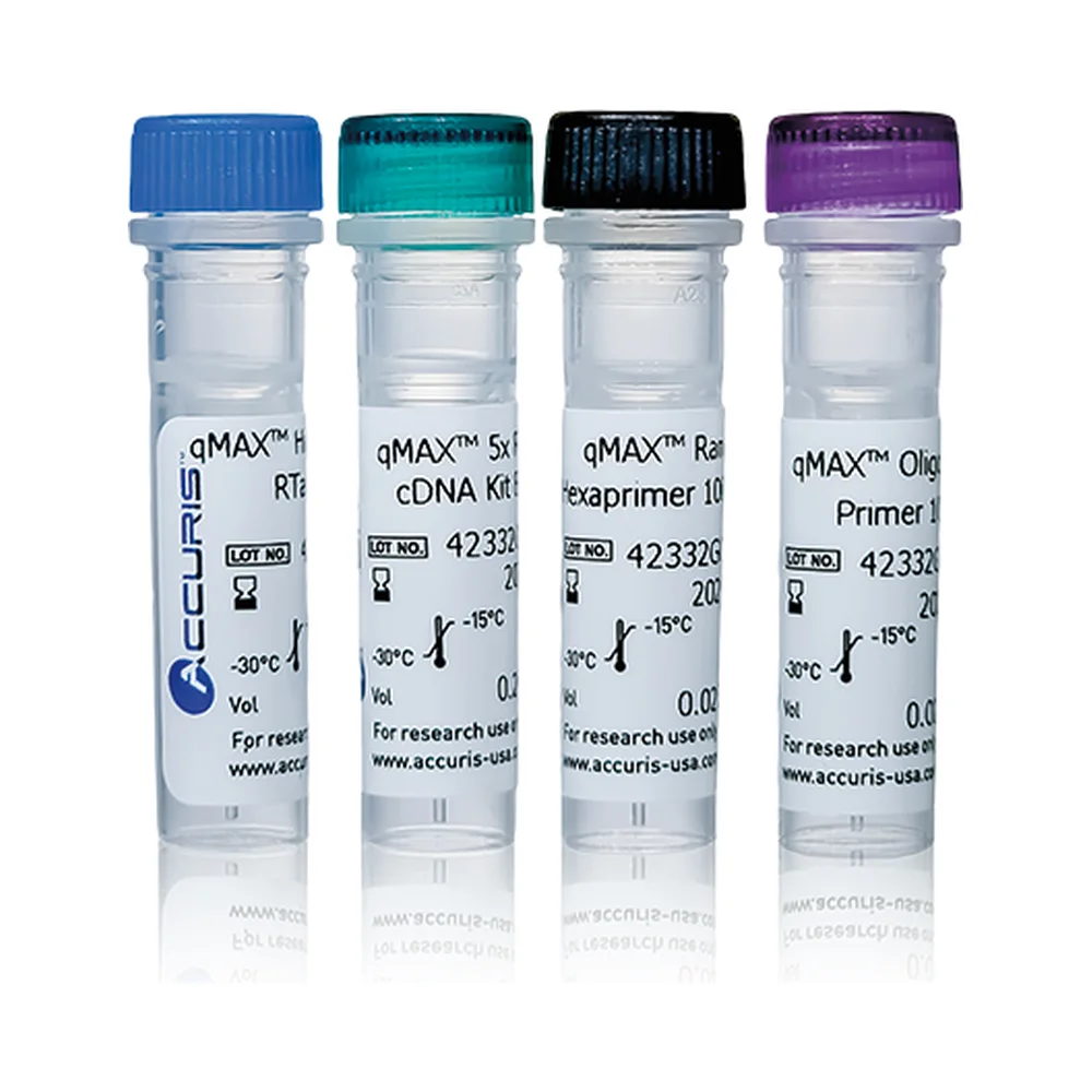 Accuris qMAX First Strand cDNA Synthesis Flex Kit, 50 Reactions - Laboratory Equipment | Legacy Lab Supplies