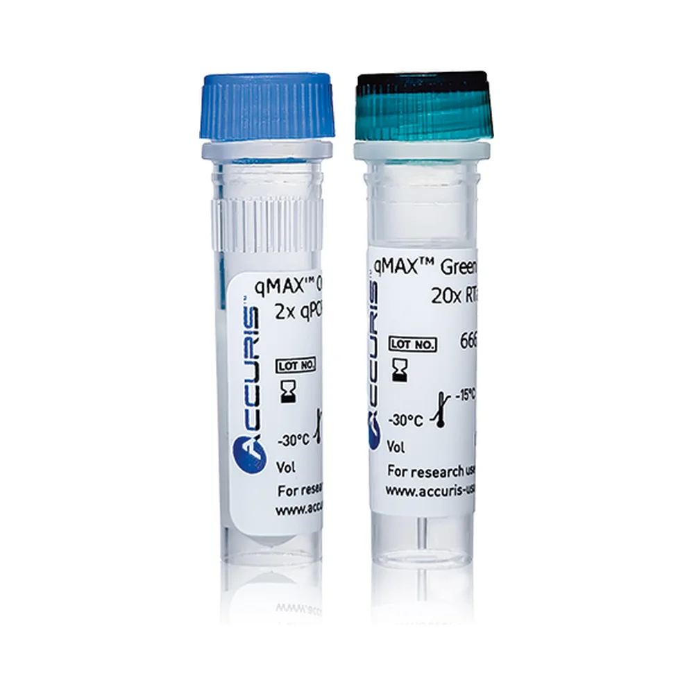 Accuris qMAX Green One-Step RT-qPCR Kit, No ROX, 100 Reactions - Laboratory Equipment | Legacy Lab Supplies