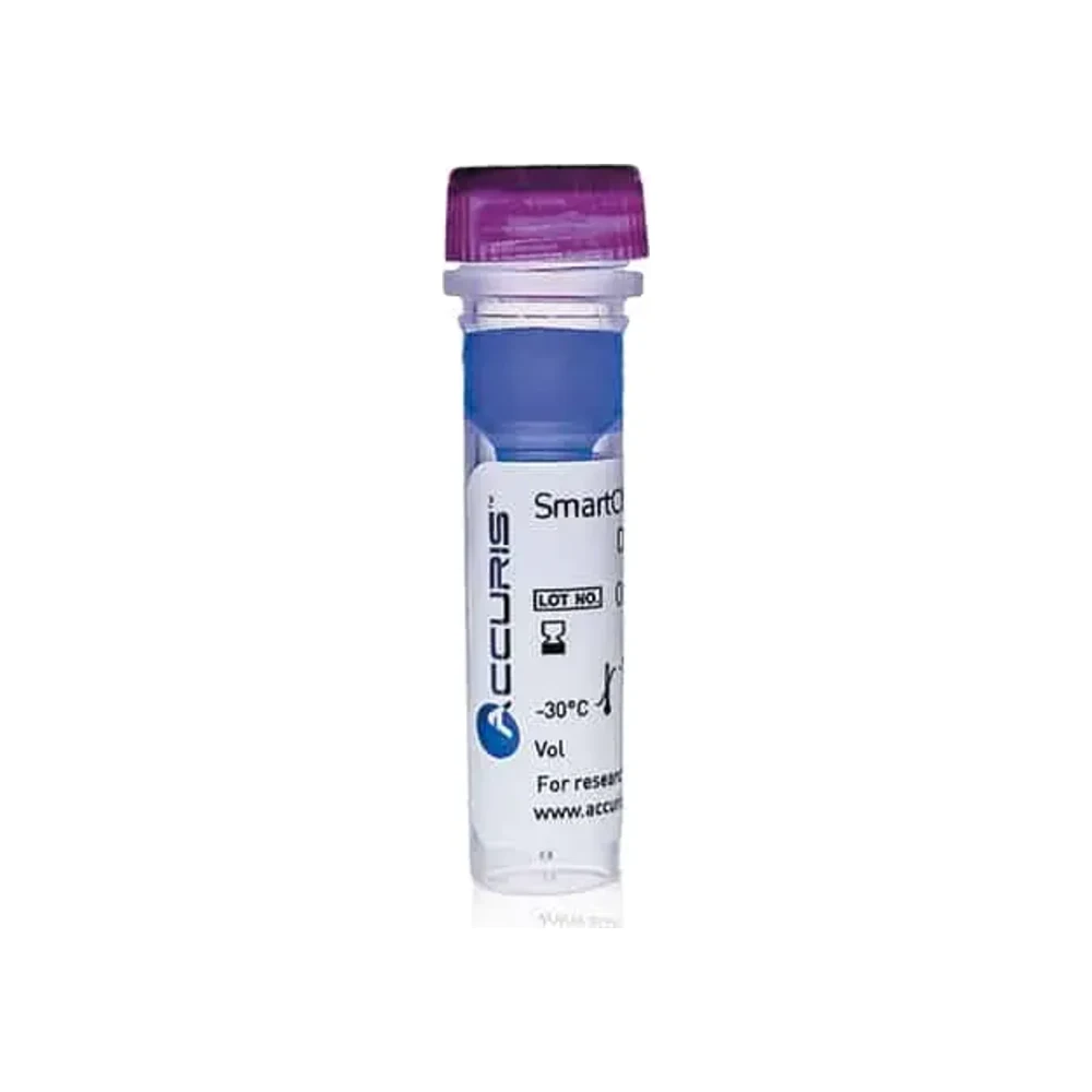 Accuris SmartCheck™ 1 kb DNA Ladder, 500 Lanes - Laboratory Equipment | Legacy Lab Supplies